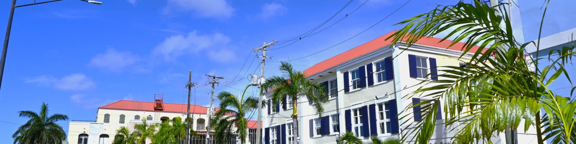 Exterior of Palm Passage with International Plaza and Greenhouse Restaurant in the background on the sunny day with blue skies